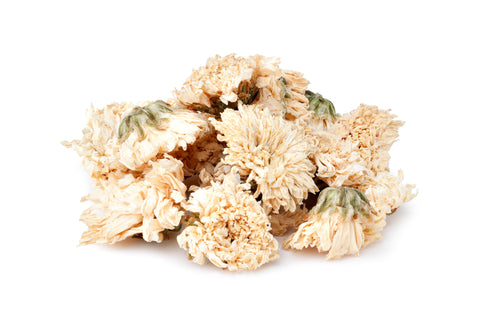 White Chrysanthemum Flowers