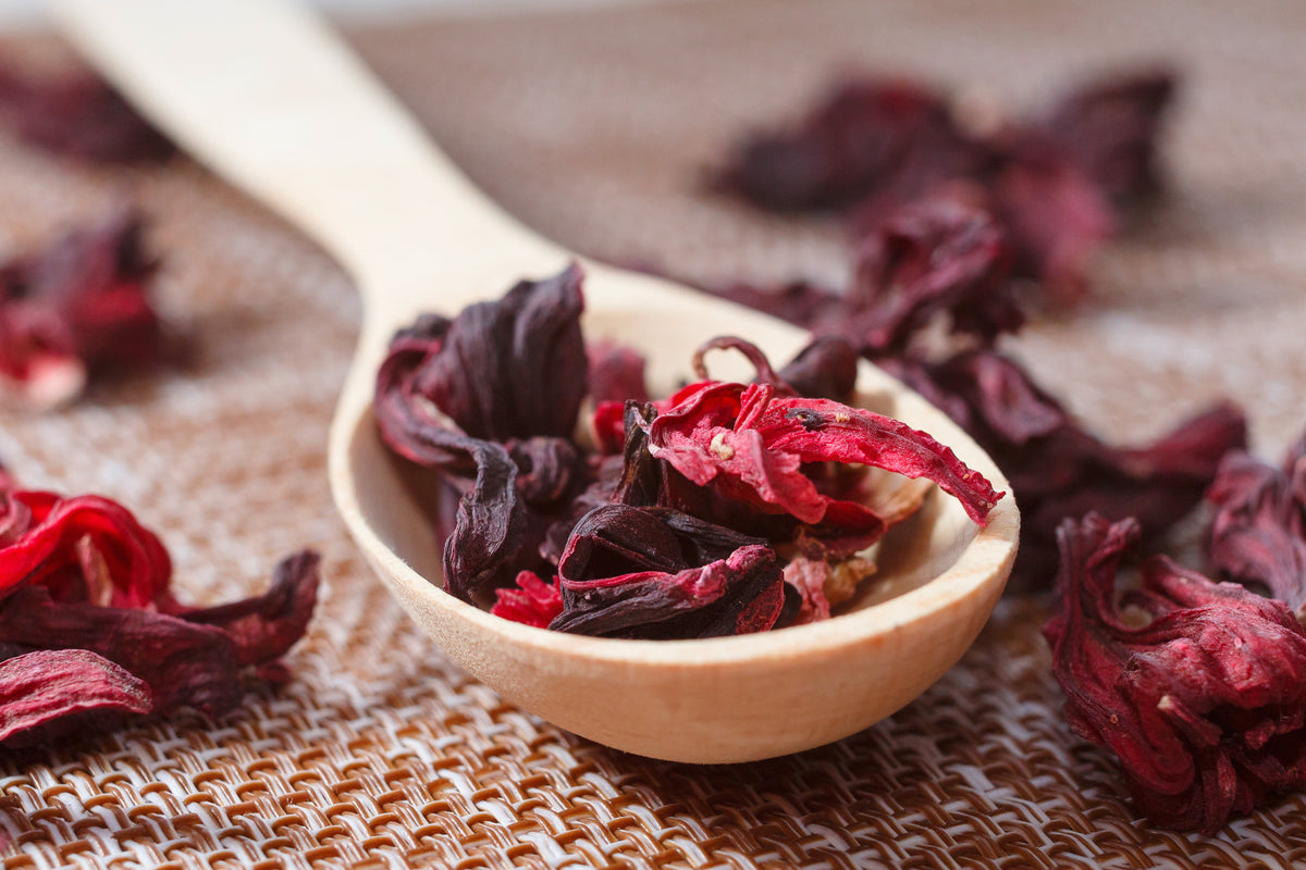 Hibiscus In Love - Gallon Tea Bags