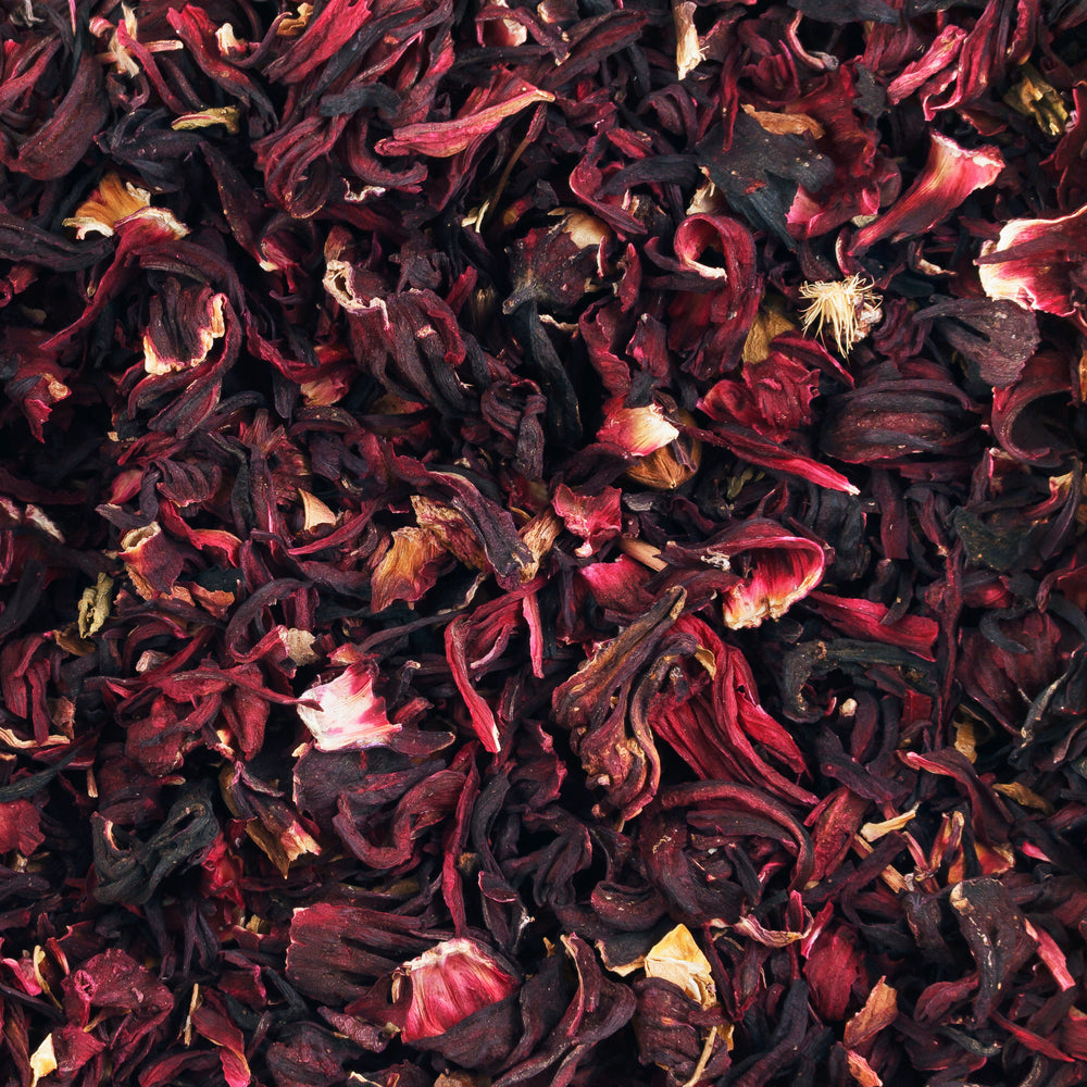 Pure Hibiscus Blossoms