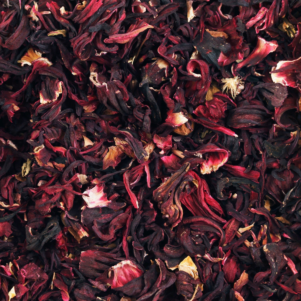 Hibiscus Blossoms (sample)