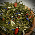 Sencha Gojiberry (sample)