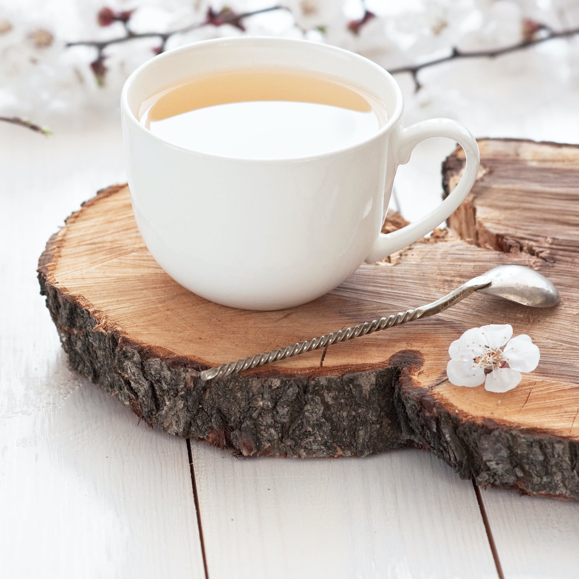 White Vineyard - Gallon Tea Bags